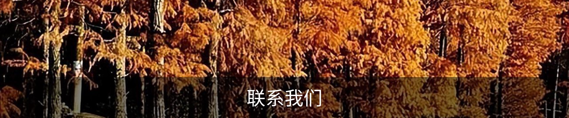 内页banner